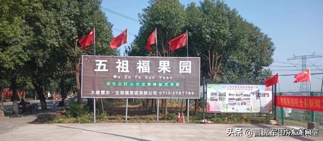 风水家里种火龙果好吗 火龙果在家种植风水好不好