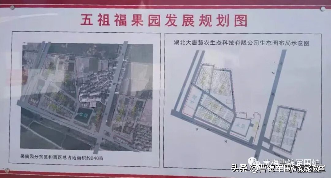 风水家里种火龙果好吗 火龙果在家种植风水好不好