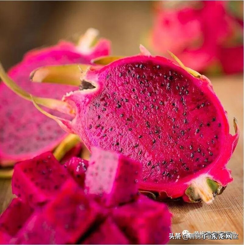 风水家里种火龙果好吗 火龙果在家种植风水好不好