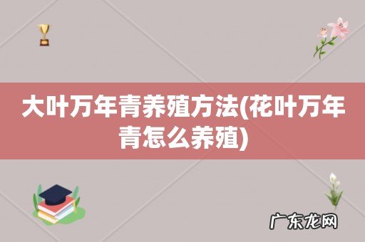 花叶万年青怎么养殖 大叶万年青养殖方法