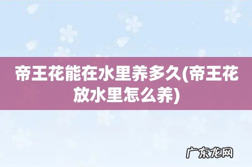 帝王花放水里怎么养 帝王花能在水里养多久