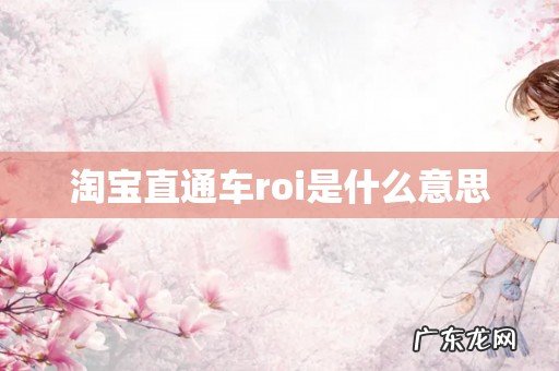淘宝直通车roi是什么意思