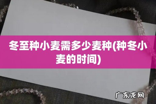 种冬小麦的时间 冬至种小麦需多少麦种