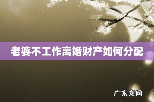 老婆不工作离婚财产如何分配