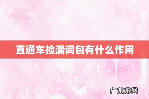 直通车捡漏词包有什么作用