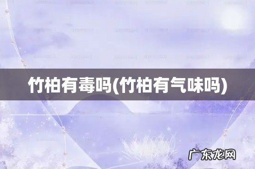 竹柏有气味吗 竹柏有毒吗