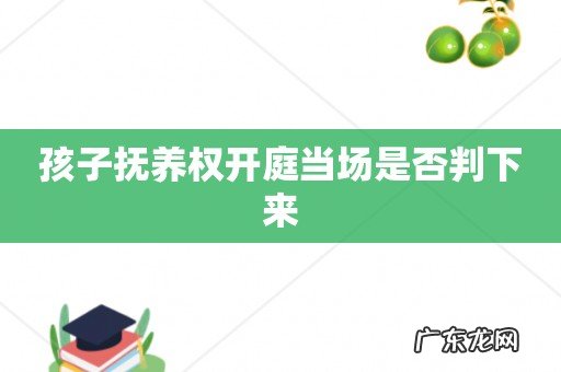 孩子抚养权开庭当场是否判下来