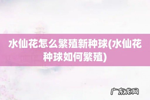 水仙花种球如何繁殖 水仙花怎么繁殖新种球