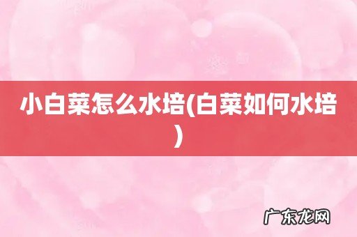 白菜如何水培 小白菜怎么水培