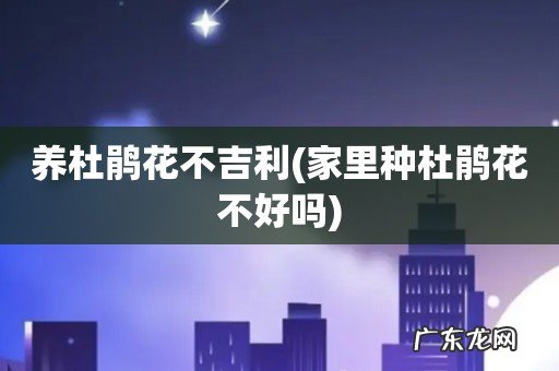 家里种杜鹃花不好吗 养杜鹃花不吉利