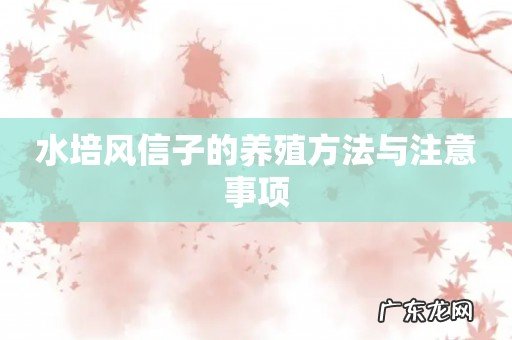 水培风信子的养殖方法与注意事项