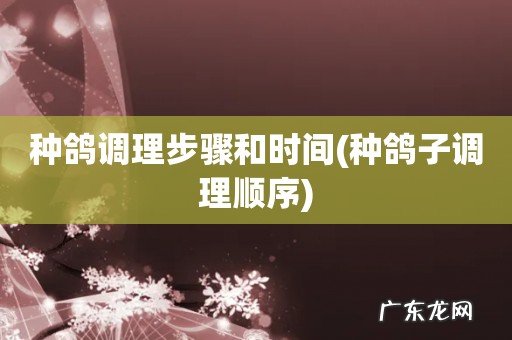 种鸽子调理顺序 种鸽调理步骤和时间