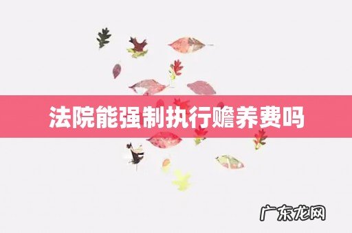 法院能强制执行赡养费吗
