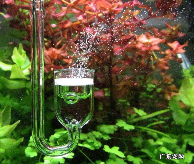 二氧化碳为什么叫二氧化碳 CO2二氧化碳