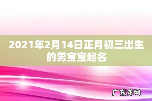 2021年2月14日正月初三出生的男宝宝起名