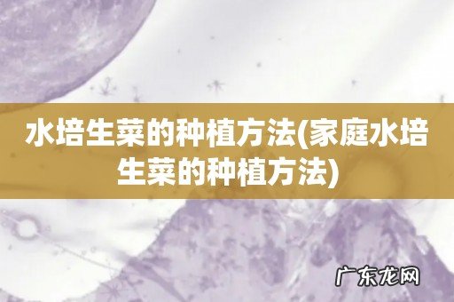 家庭水培生菜的种植方法 水培生菜的种植方法