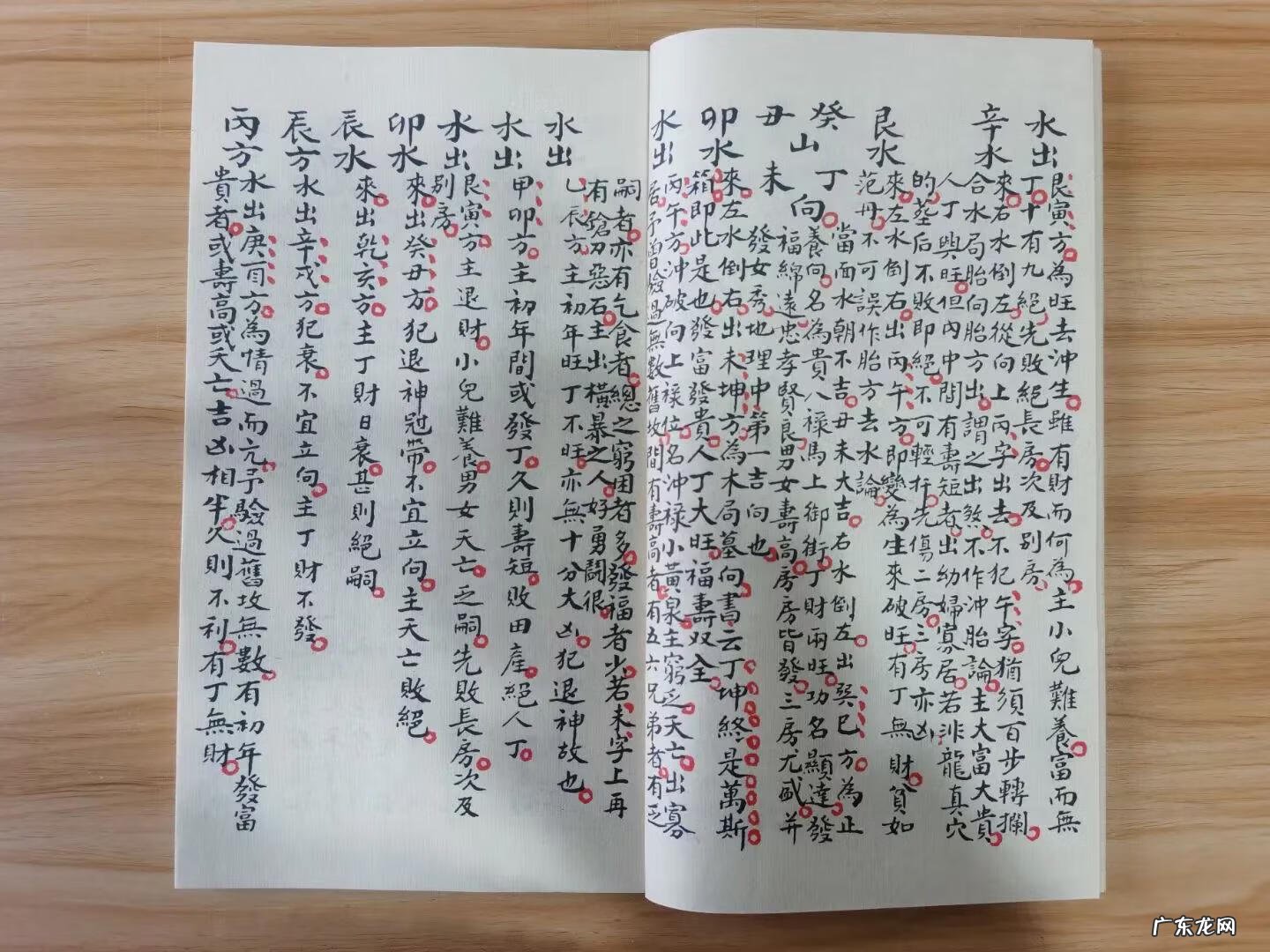 杨公风水传人 杨公风水真传书籍