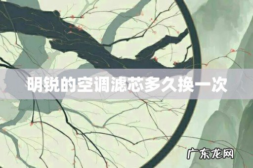 明锐的空调滤芯多久换一次