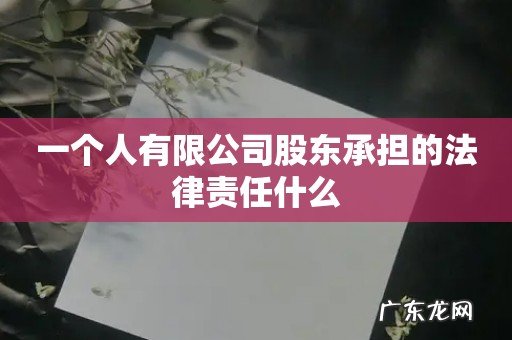一个人有限公司股东承担的法律责任什么
