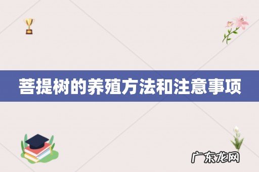 菩提树的养殖方法和注意事项