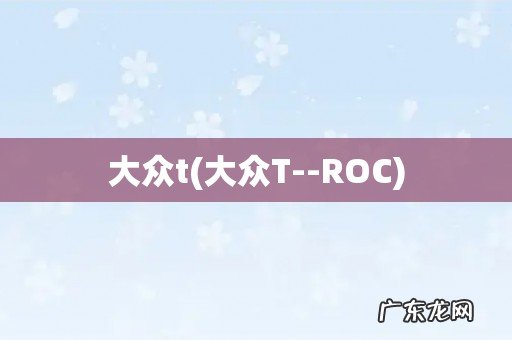 大众T--ROC 大众t