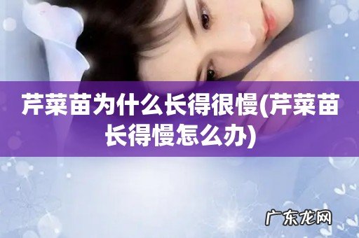 芹菜苗长得慢怎么办 芹菜苗为什么长得很慢