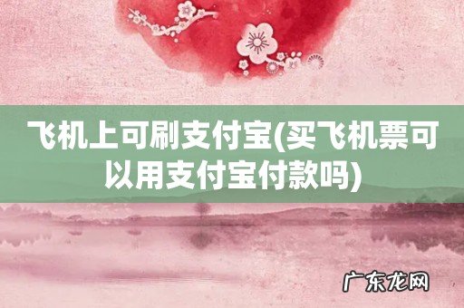 买飞机票可以用支付宝付款吗 飞机上可刷支付宝