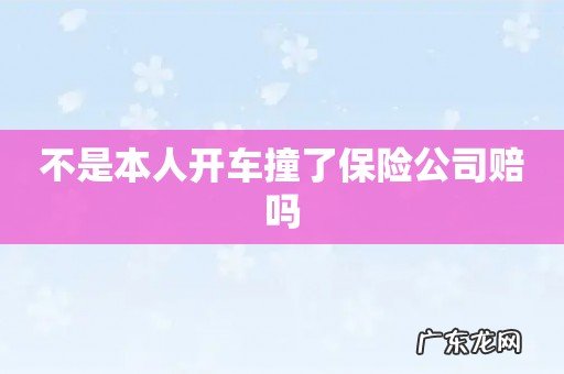 不是本人开车撞了保险公司赔吗