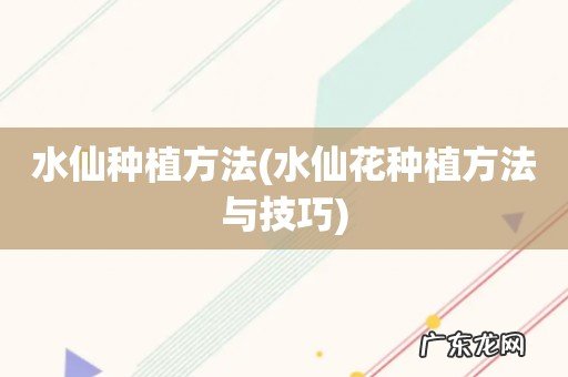 水仙花种植方法与技巧 水仙种植方法