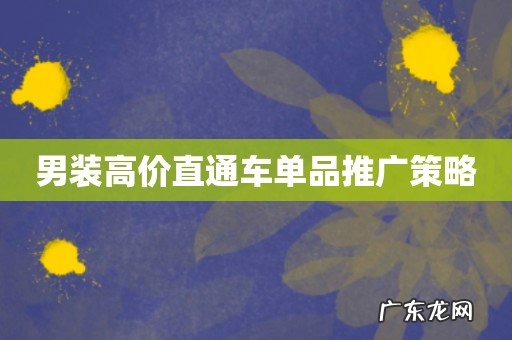 男装高价直通车单品推广策略