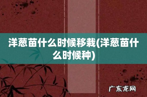 洋葱苗什么时候种 洋葱苗什么时候移栽