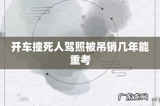 开车撞死人驾照被吊销几年能重考
