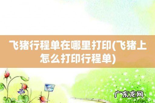 飞猪上怎么打印行程单 飞猪行程单在哪里打印