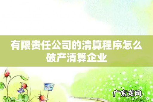 有限责任公司的清算程序怎么破产清算企业