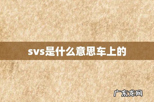 svs是什么意思车上的