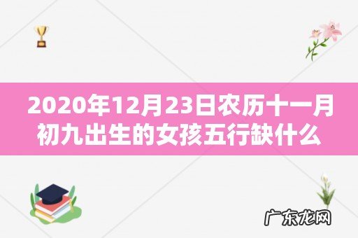 2020年12月23日农历十一月初九出生的女孩五行缺什么