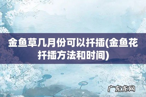 金鱼花扦插方法和时间 金鱼草几月份可以扦插
