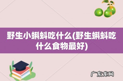 野生蝌蚪吃什么食物最好 野生小蝌蚪吃什么