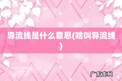 啥叫导流线 导流线是什么意思