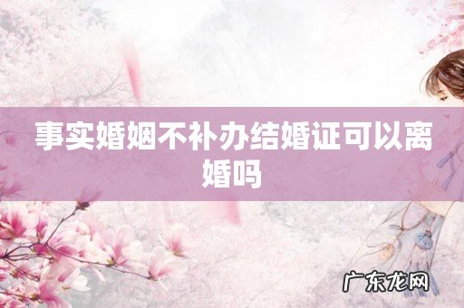 事实婚姻不补办结婚证可以离婚吗