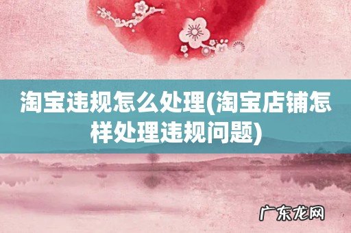 淘宝店铺怎样处理违规问题 淘宝违规怎么处理