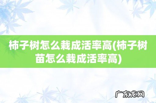 柿子树苗怎么栽成活率高 柿子树怎么栽成活率高