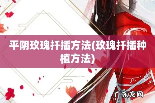 玫瑰扦插种植方法 平阴玫瑰扦插方法