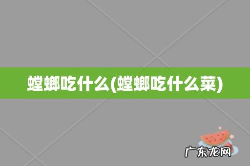 螳螂吃什么菜 螳螂吃什么