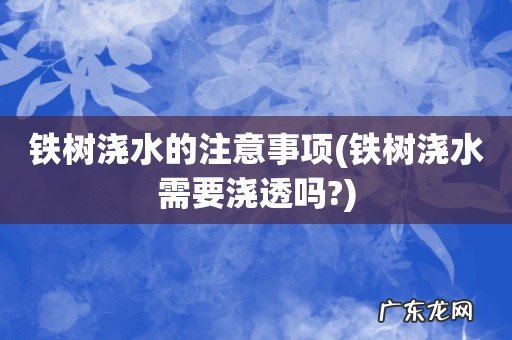铁树浇水需要浇透吗? 铁树浇水的注意事项