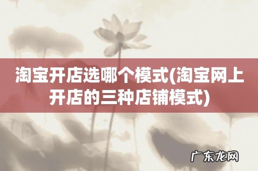 淘宝网上开店的三种店铺模式 淘宝开店选哪个模式