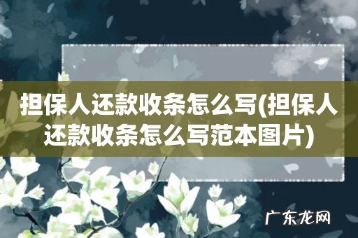 担保人还款收条怎么写范本图片 担保人还款收条怎么写
