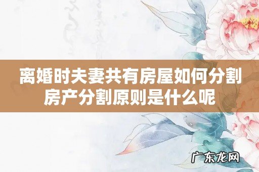 离婚时夫妻共有房屋如何分割房产分割原则是什么呢