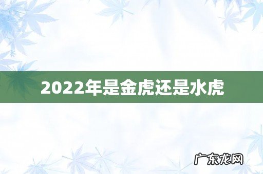 2022年是金虎还是水虎