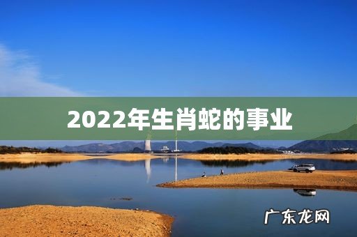 2022年生肖蛇的事业
